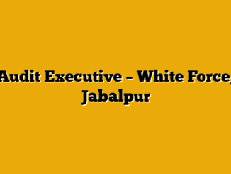 Audit Executive  – White Force, Jabalpur
