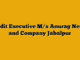 Audit Executive M/s Anurag Nema and Company Jabalpur