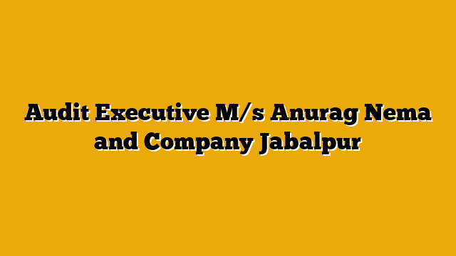Audit Executive M/s Anurag Nema and Company Jabalpur