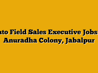 Auto Field Sales Executive Jobs in Anuradha Colony, Jabalpur