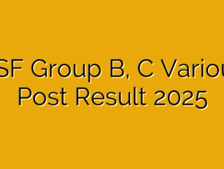 BSF Group B, C Various Post Result 2025