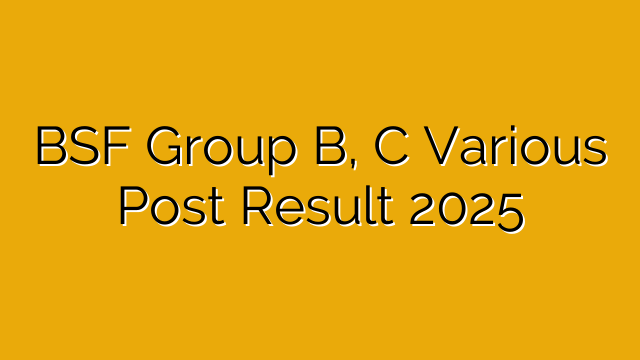 BSF Group B, C Various Post Result 2025