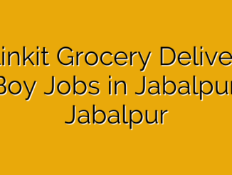 Blinkit Grocery Delivery Boy Jobs in Jabalpur, Jabalpur