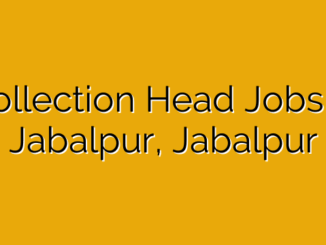 Collection Head Jobs in Jabalpur, Jabalpur