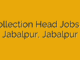Collection Head Jobs in Jabalpur, Jabalpur