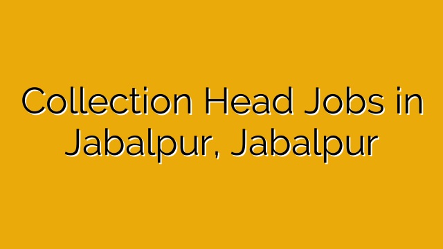 Collection Head Jobs in Jabalpur, Jabalpur