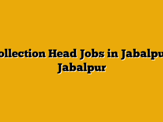 Collection Head Jobs in Jabalpur, Jabalpur