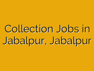 Collection Jobs in Jabalpur, Jabalpur