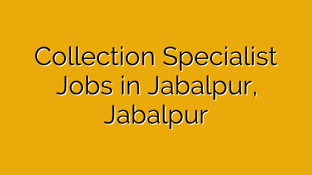 Collection Specialist Jobs in Jabalpur, Jabalpur Collection Specialist Jobs in Jabalpur, Jabalpur