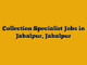 Collection Specialist Jobs in Jabalpur, Jabalpur