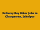 Delivery Boy Biker Jobs in Chargawan, Jabalpur