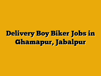 Delivery Boy Biker Jobs in Ghamapur, Jabalpur