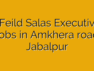 Feild Salas Executiv Jobs in Amkhera road, Jabalpur
