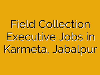 Field Collection Executive Jobs in Karmeta, Jabalpur