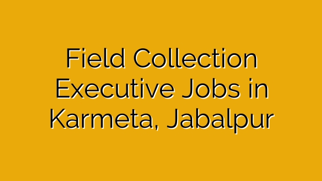 Field Collection Executive Jobs in Karmeta, Jabalpur Field Collection Executive Jobs in Karmeta, Jabalpur