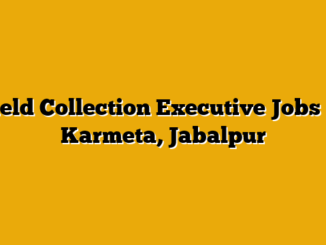 Field Collection Executive Jobs in Karmeta, Jabalpur