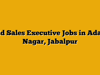 Field Sales Executive Jobs in Adarsh Nagar, Jabalpur