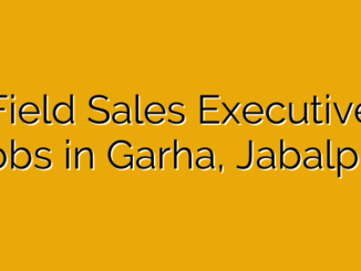 Field Sales Executive Jobs in Garha, Jabalpur