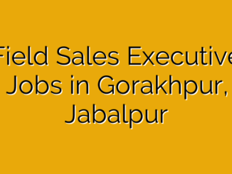 Field Sales Executive Jobs in Gorakhpur, Jabalpur