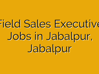 Field Sales Executive Jobs in Jabalpur, Jabalpur