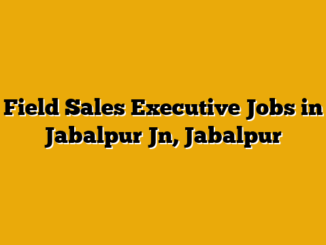 Field Sales Executive Jobs in Jabalpur Jn, Jabalpur