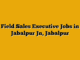 Field Sales Executive Jobs in Jabalpur Jn, Jabalpur