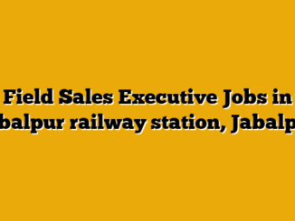 Field Sales Executive Jobs in Jabalpur railway station, Jabalpur