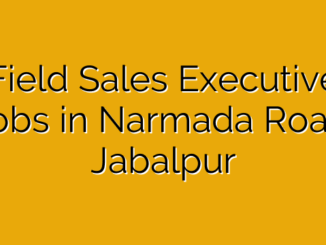 Field Sales Executive Jobs in Narmada Road, Jabalpur