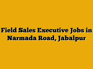 Field Sales Executive Jobs in Narmada Road, Jabalpur