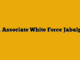 HR Associate  White Force Jabalpur