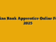 Indian Bank Apprentice Online Form 2025