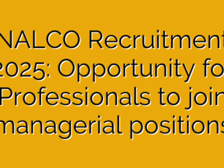 NALCO Recruitment 2025: Opportunity for Professionals to join managerial positions