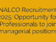 NALCO Recruitment 2025: Opportunity for Professionals to join managerial positions