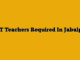PRT Teachers Required In Jabalpur