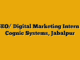 SEO/ Digital Marketing Intern  – Cognic Systems, Jabalpur