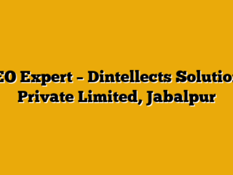 SEO Expert  – Dintellects Solutions Private Limited, Jabalpur