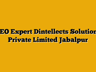 SEO Expert  Dintellects Solutions Private Limited Jabalpur