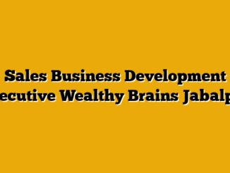 Sales Business Development Executive Wealthy Brains Jabalpur
