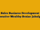 Sales Business Development Executive Wealthy Brains Jabalpur