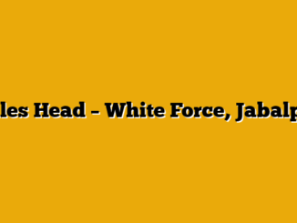 Sales Head  – White Force, Jabalpur