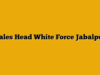 Sales Head  White Force Jabalpur