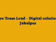 Sales Team Lead  – Digital solutions – Jabalpur