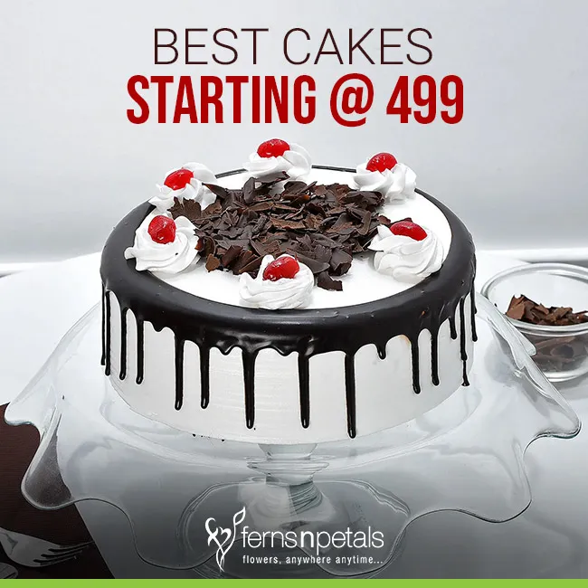 Best Cake Shop in Jabalpur